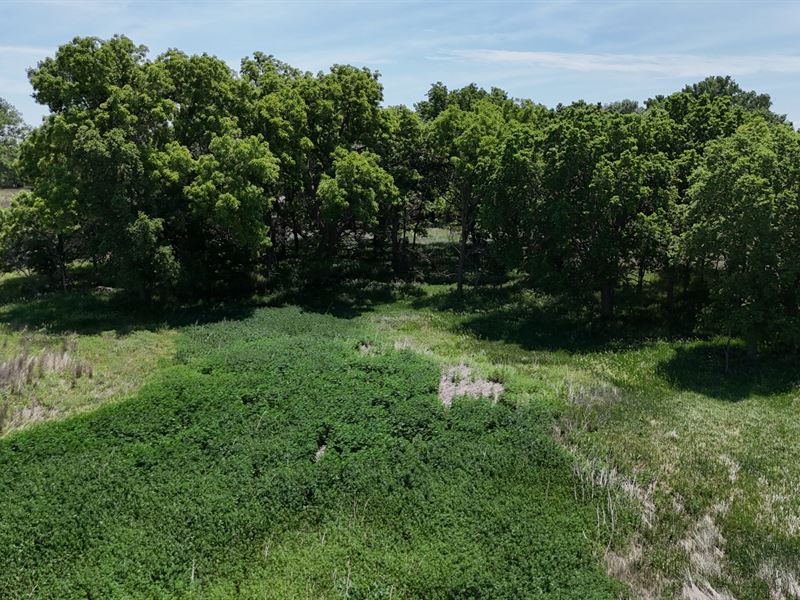 Decatur Crp and Hunt : Jennings : Decatur County : Kansas