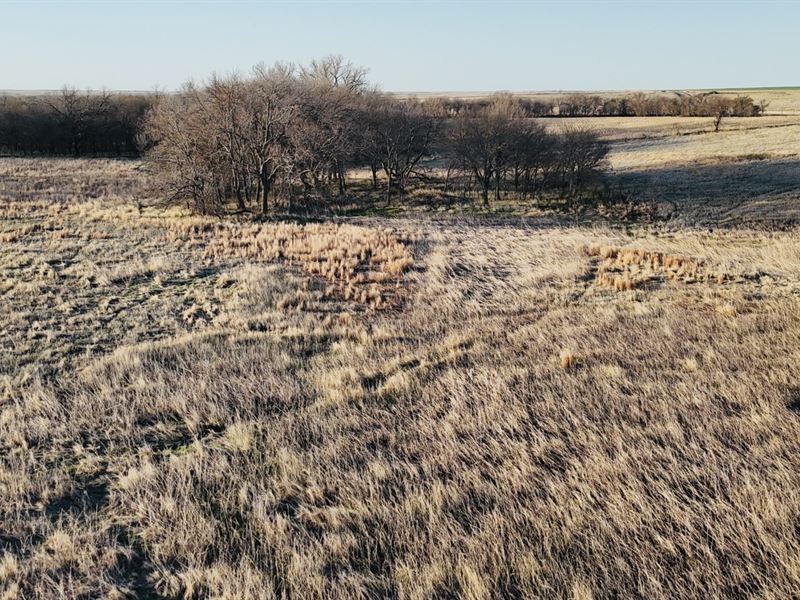 Decatur Crp and Hunt : Jennings : Decatur County : Kansas