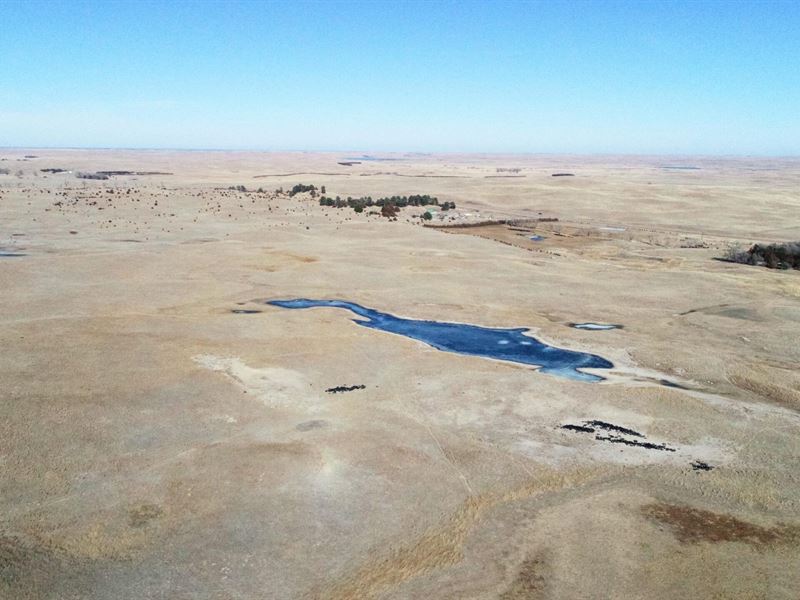 794 Acres, Brown County Home Grass : Ainsworth : Brown County : Nebraska