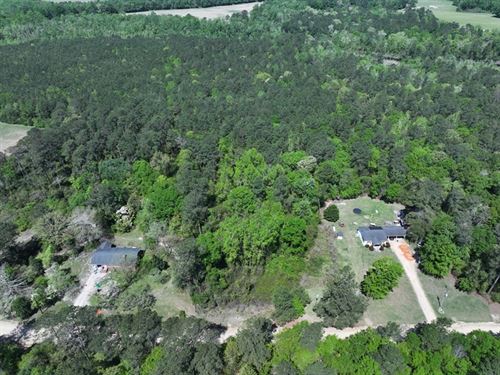 Timber and Hunting Land for Sale : Fairmont : Robeson County : North Carolina