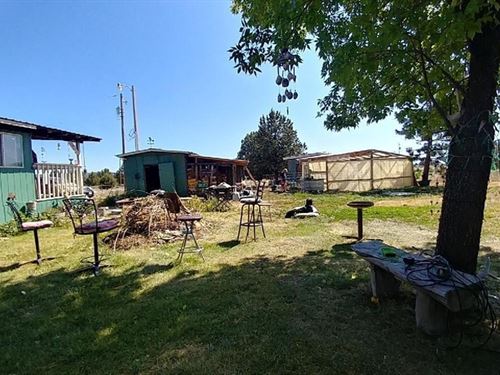 Little Gem : Chiloquin : Klamath County : Oregon