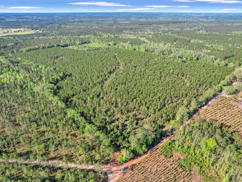 Mildred Bush Estate : Surrency : Appling County : Georgia