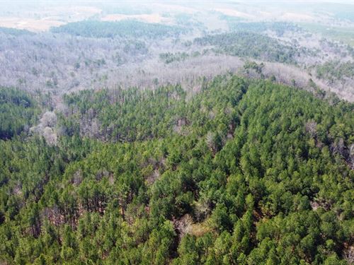 Raven Den Branch : Bear Creek : Marion County : Alabama