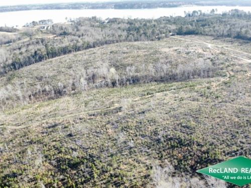 123 Acres, Timberland Near Lake : Downsville : Union Parish : Louisiana