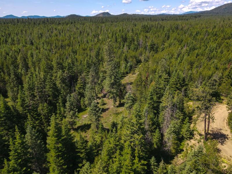 Best Spot on Trigger Lane : Newport : Pend Oreille County : Washington