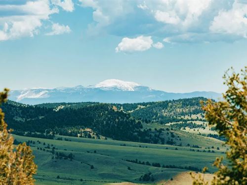 Aspen Creek Ranch : Guffey : Park County : Colorado