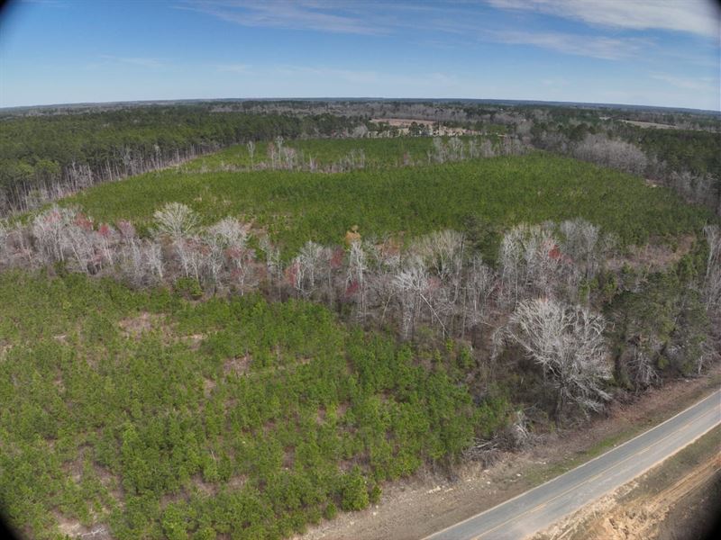 Minter Blue Springs Rd Tract : Rockledge : Laurens County : Georgia
