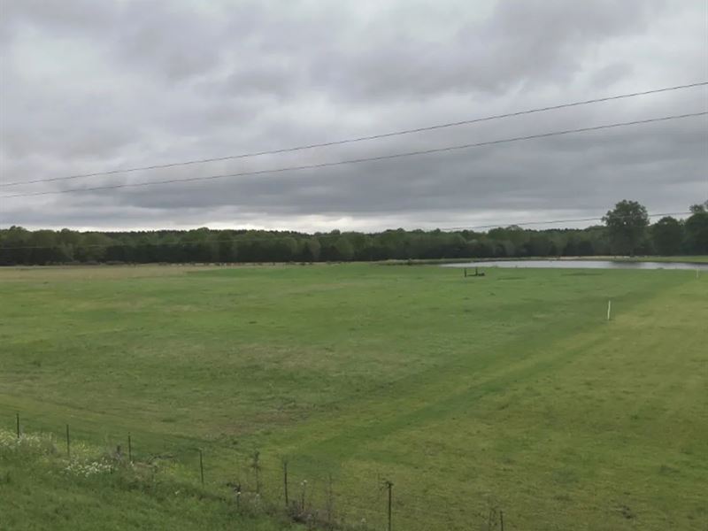 6.57 Acres in Madison County in Flo : Flora : Madison County : Mississippi
