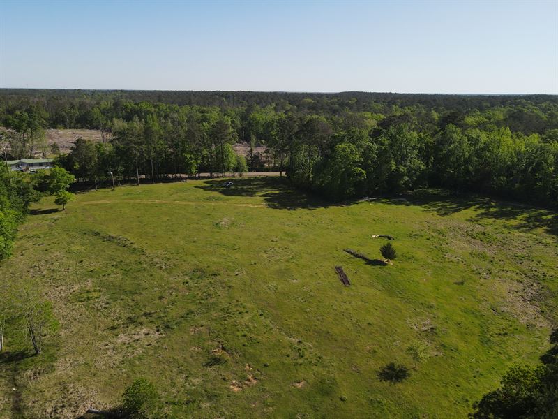 Dogwood Trail Tract, 52 Acres : Georgiana : Butler County : Alabama