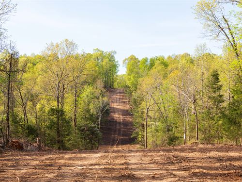 $999 Down, Fulton County Land : Ash Flat : Fulton County : Arkansas