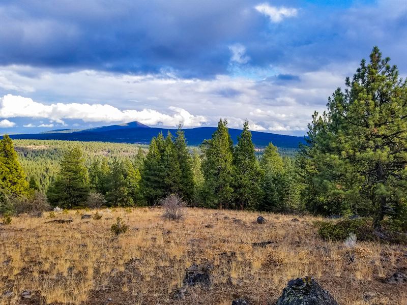 Perfect for Your Off-Grid Dreams : Bonanza : Klamath County : Oregon