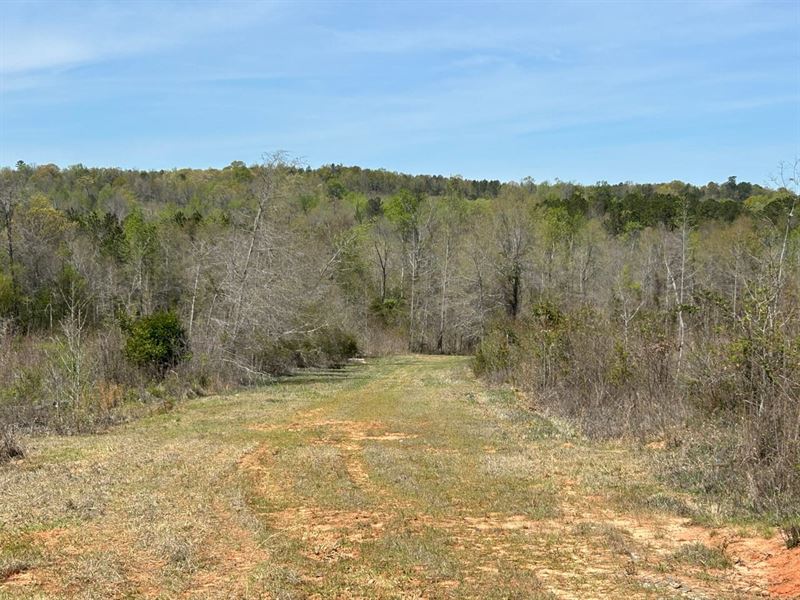 Recreation Tract Near Macon : Dry Branch : Twiggs County : Georgia