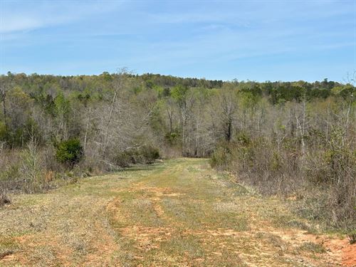 Price Reduced, Recreation Tract Nea : Dry Branch : Twiggs County : Georgia