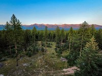 Swan Views on Private Scenic Drive : Condon : Missoula County : Montana