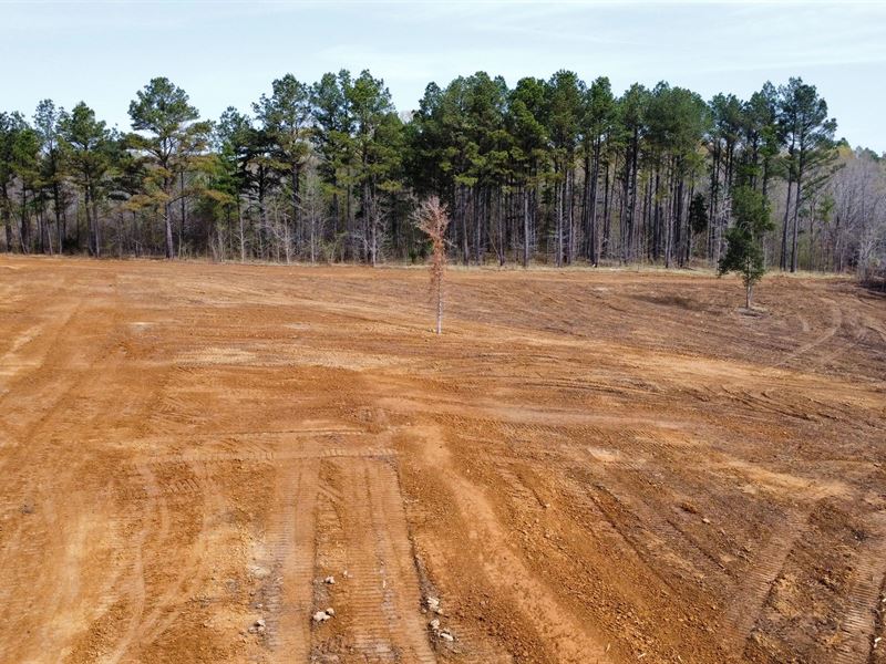 One Equity Share in Copiah County : Wesson : Copiah County : Mississippi