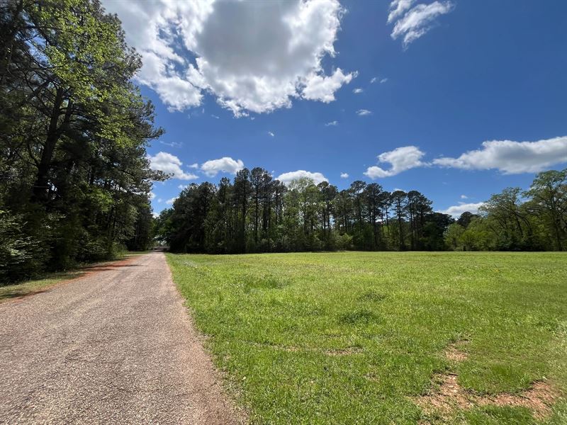 15.5 Acres in Union Parish, LA : Bernice : Union Parish : Louisiana