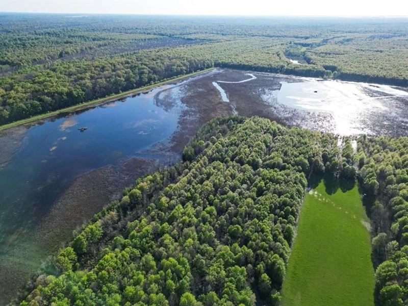 Legacy Waterfowl Hunting in The Mis : Redwood : Warren County : Mississippi