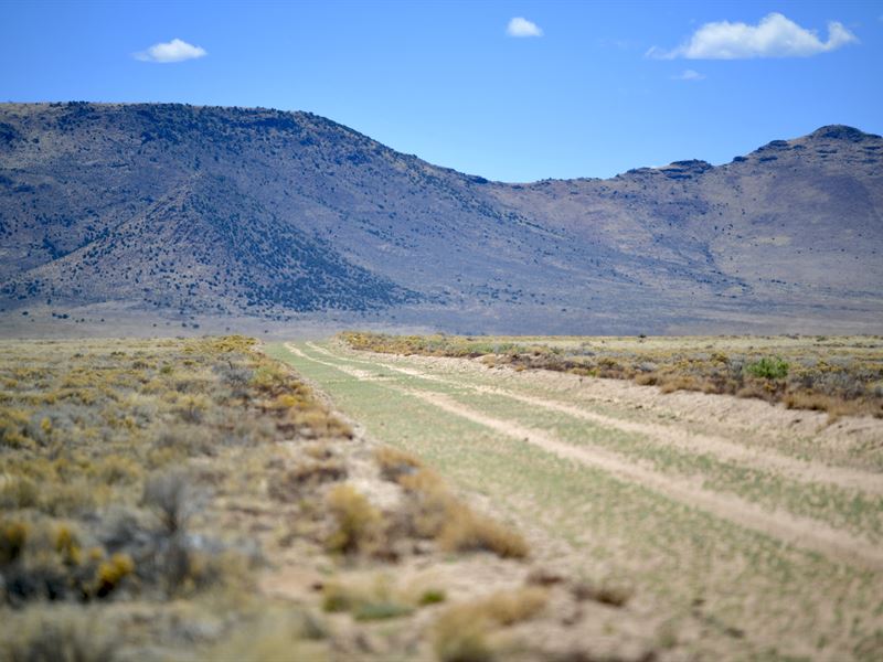 Park RV & Mobile Homes with Camping : Colorado City : Costilla County : Colorado