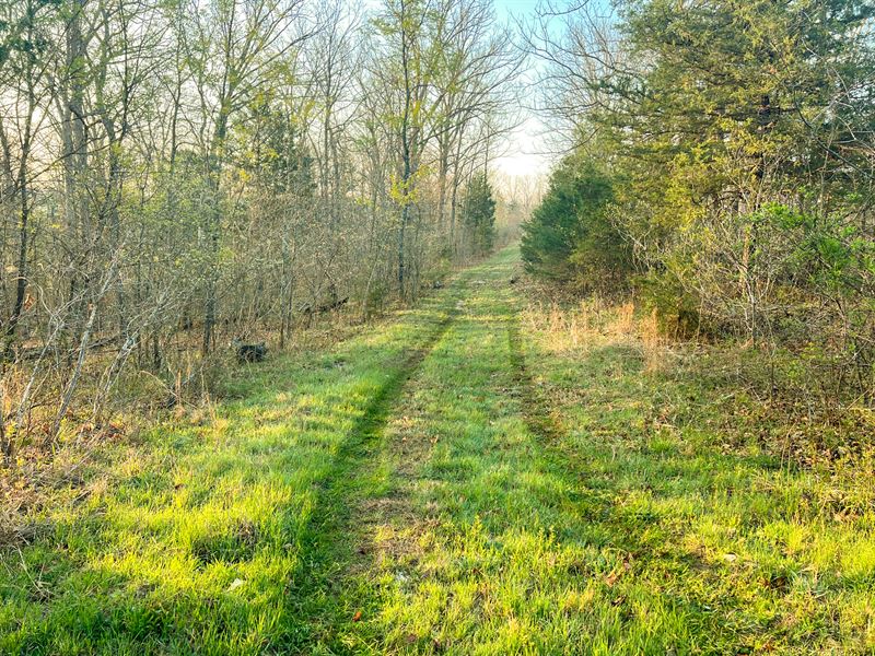 Diamond School Road : Grubville : Franklin County : Missouri