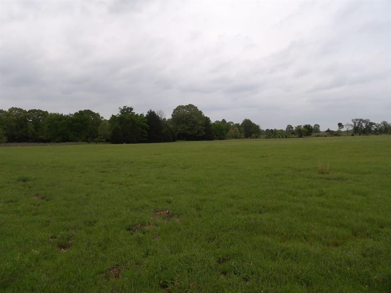 Great Hay Tract in Antlers,Ok : Antlers : Pushmataha County : Oklahoma