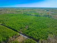 Narrow Bridge East : Chester : South Carolina