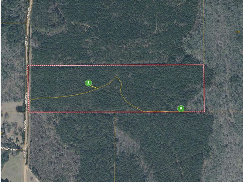 Spay Road 41 Tract, Choctaw Co., MS : McCool : Choctaw County : Mississippi