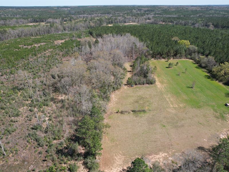 The Home Place, 1000 Ac, Mobile Co : Mobile : Mobile County : Alabama