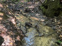14 Acres, Tract 8 On Whi : Tamassee : Oconee County : South Carolina