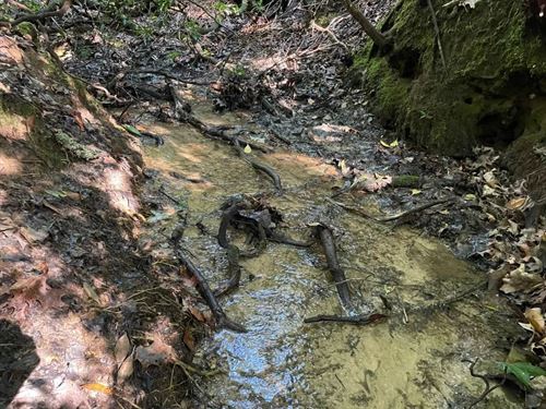 14 Acres, Tract 8 on Whitewate : Tamassee : Oconee County : South Carolina