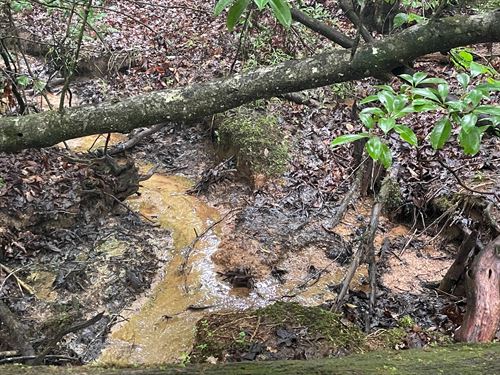 33.84 Acres, Tract 1 on N Litt : Tamassee : Oconee County : South Carolina