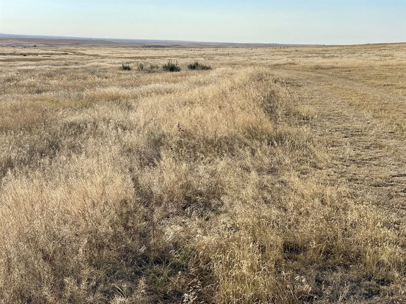 Deer Trail 70 : Deer Trail : Elbert County : Colorado