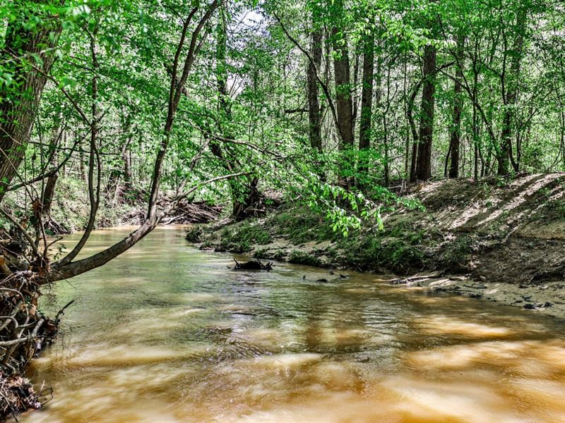 Dry Creek Plantation : Buena Vista : Marion County : Georgia