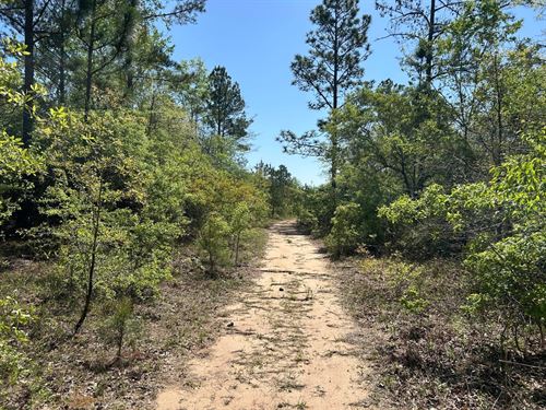 Hall Branch Farm : Macon : Bibb County : Georgia