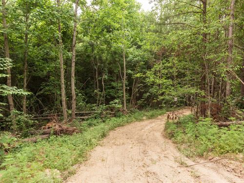 No Credit Check and $999 Down : Lexington : Henderson County : Tennessee