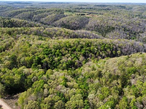 Turkey Ridge 38.88 : Mountain View : Stone County : Arkansas