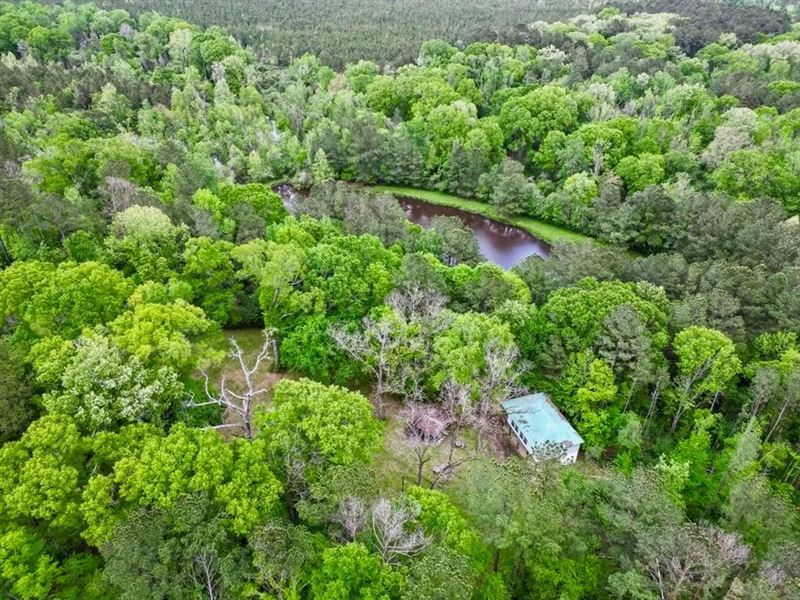 183 Acres and Camp for Sale with LA : Centreville : Amite County : Mississippi