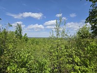 Mountain Views : Green Bay : Prince Edward County : Virginia