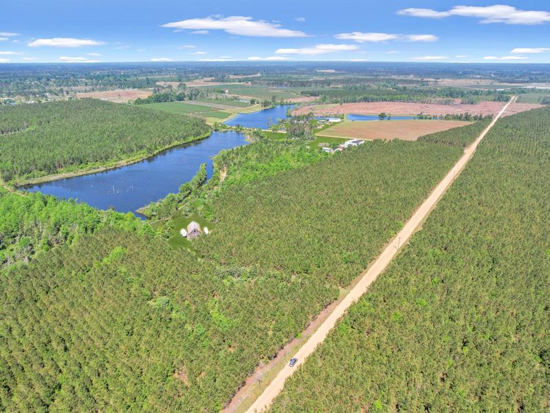 Tract 5, Sanderling Rd in Bacon Co : Alma : Bacon County : Georgia