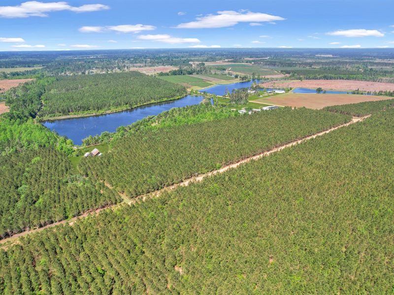 Tract 6, Sanderling Rd in Bacon Co : Alma : Bacon County : Georgia