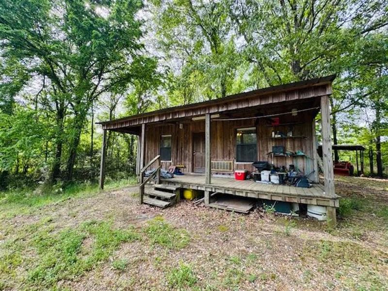 75 Acre Hunting Haven in Jefferson : Fayette : Jefferson County : Mississippi