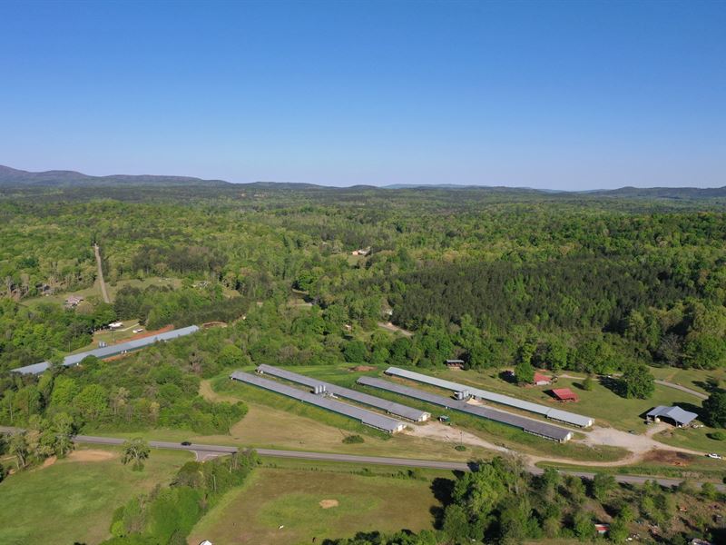County Line Broiler Farm : Delta : Cleburne County : Alabama