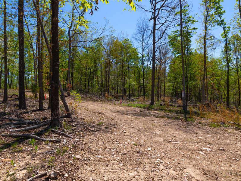 Beautiful Land, as Low as $199 Down : Mammoth Spring : Fulton County : Arkansas