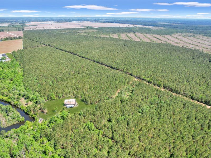 Tract 7 in Sanderling Road in Bacon : Alma : Bacon County : Georgia