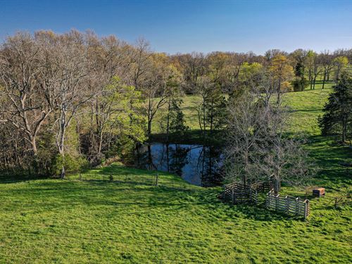 JB Farm in Barry County : Seligman : Barry County : Missouri
