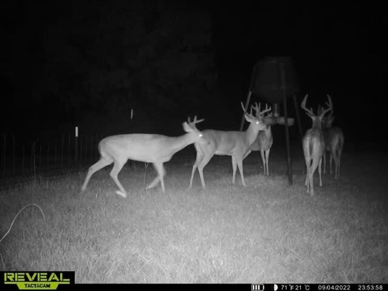 220 Acre Hunting Property and Homes : Autaugaville : Autauga County : Alabama