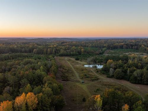 220 Acre Hunting Property And Homes : Autaugaville : Autauga County : Alabama