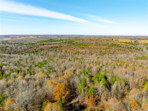 43 Acres, Hunting Land, Timberla : Cave City : Sharp County : Arkansas