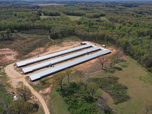 Whispering Oaks Breeder Farm : Bruceton : Carroll County : Tennessee