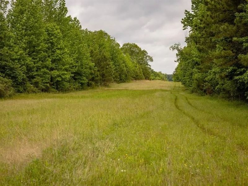 Deer, Duck, and Turkey Hunting : Hermanville : Claiborne County : Mississippi