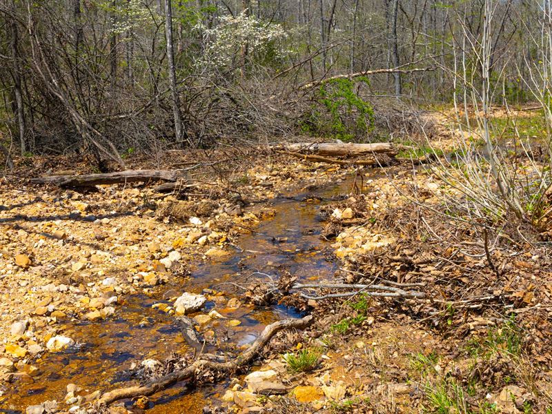 $999 Down, Beautiful Property : Mammoth Spring : Fulton County : Arkansas